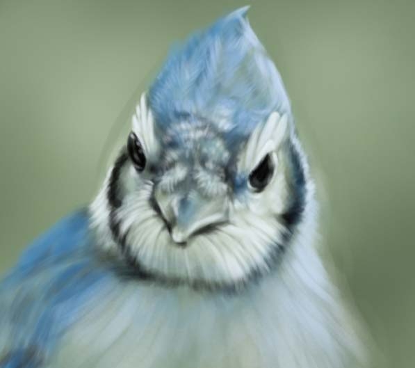 Creation of Little blue bird: Step 8